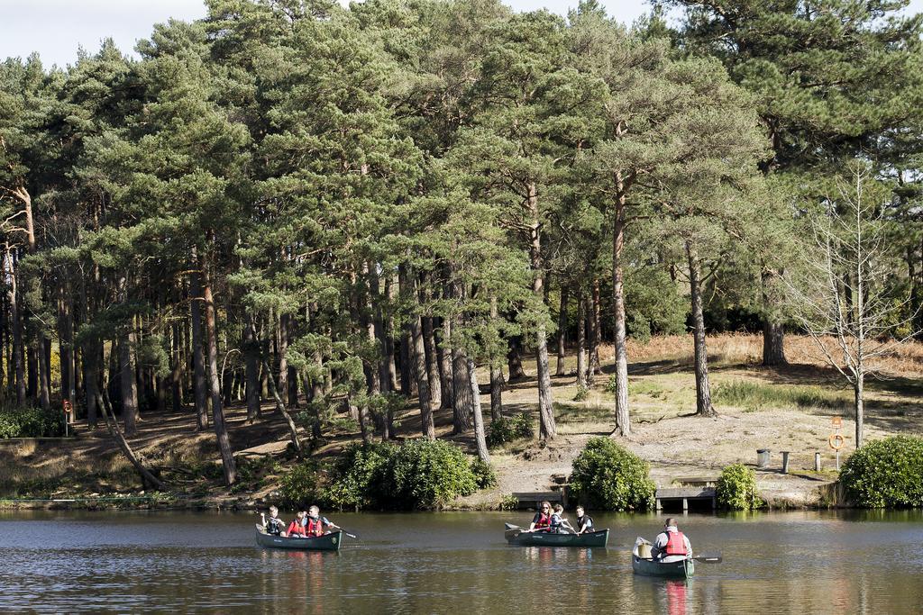 Villa Avon Tyrrell Outdoor Activity Centre à Bransgore Extérieur photo